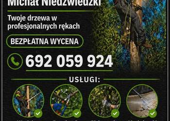 Wycinka przycinka drzew pielęgnacja koszenie trawników