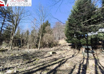 Działka w kameralnej zabudowie ze starodrzewem