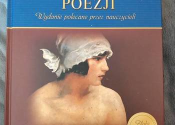 Słownik Poezji - wydanie polecane przez nauczycieli GREG