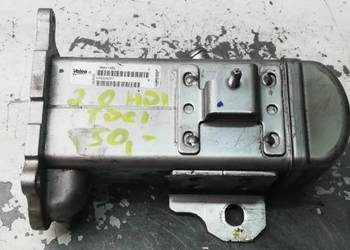 Chłodnica Spalin Ford Peugeot 2.0 TDCI V29004027