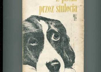 Z psem przez stulecia - Bauer