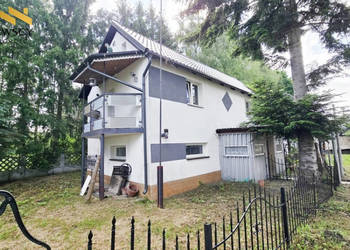 Siedlisko ze stawem w Wiśniewie