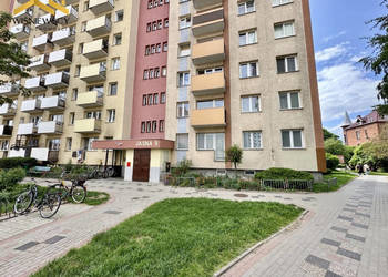 Malbork ul. Jasna, parter, 2 pokoje, 40 m2