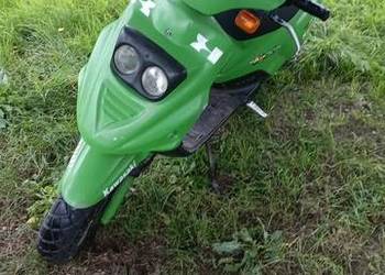 Tgb 101s Orion 50 2t