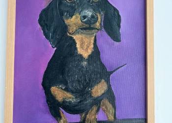 Obraz pieska. Jamnik na fioletowym tle. 30/40 olej