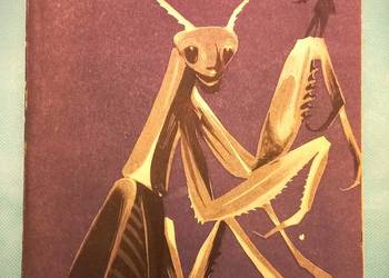 Doktor Muchołapski - fantastyczne przygody w świecie owadów, Erazm Majewski