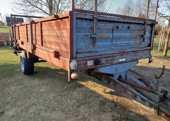 rozrzutnik carna białostocka