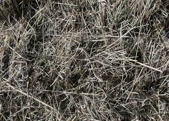 Sprzedam siano i słomę