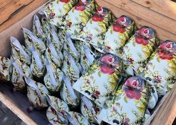 Sok tłoczony z gruszki