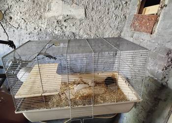 Duża klatka dla zwierzaka