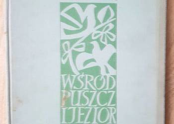 Wśród puszcz i jezior Wdowiński