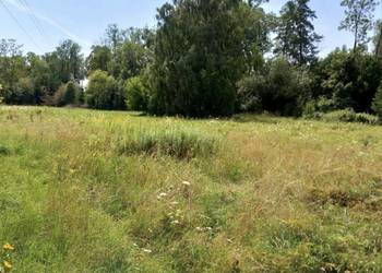 Działka blisko Warszawy - 250 m2