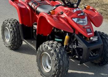 Quad Adly 100 2t