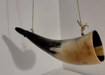 róg myśliwski bawoli