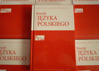 Słownik języka polskiego+słownik wyrazów obcych aktualne