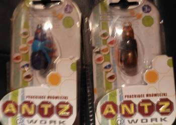 Mrówka ANTZ Work   3   szt
