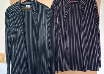 zestaw 3 koszul: lacoste, pierre cardin, hilfiger