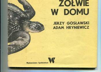 Żółwie w domu - Gosławski , Hryniewicz