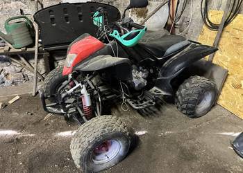 Quad Bashan