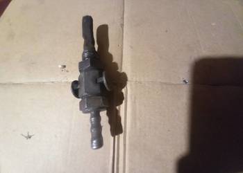 Kranik zak ryś komar sztywniak