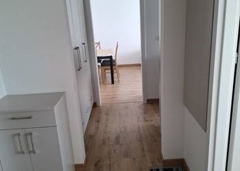 Mieszkanie do wynajecia