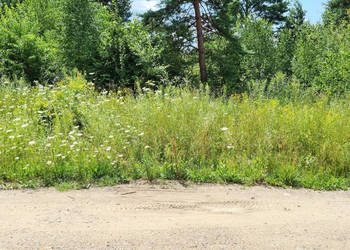 Do sprzedaży grunt 1370m2 Skrybicze