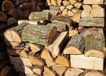 Drewno kominkowe, opałowe brzoza dąb