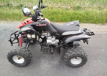 Quad Bashan