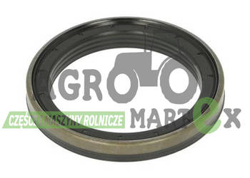 3015275X1 USZCZELNIACZ AGCO