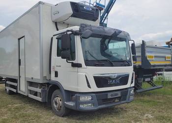 MAN TGL 8.180 4X2 Chłodnia na części
