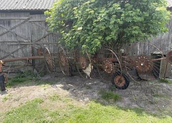 Przetrząsacz do zbioru i zgrabiania siana