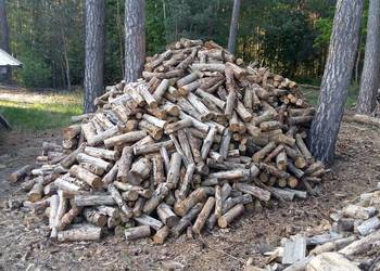 Sosnowe ,Sezonowane drewno opałowe