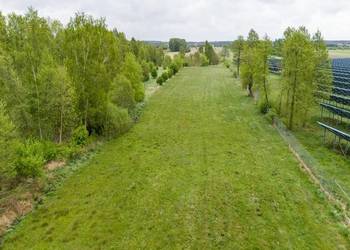 Działki rolne blisko terenów uprawnych – Kuny i Leonia