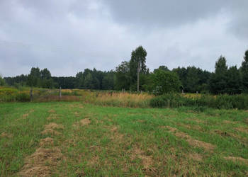 Opole Lubelskie - 1,24 ha - malownicza okolica