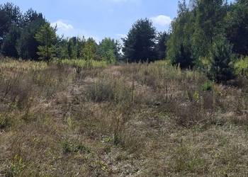 Sprzedam działkę budowlaną Regut .