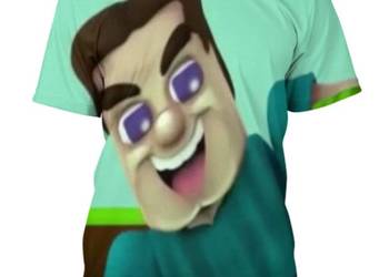koszulka minecraft, steve , meżczyzna , animacja, gra