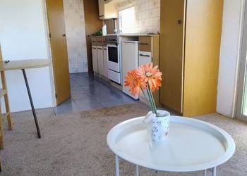 Sezonowy domek holenderski kadet, możliwość organizacji transportu