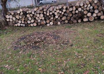 Sprzedam Drewno Sosna metry lub rąbane