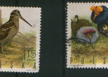 Zn. Fi 1843, 4 kas  1970