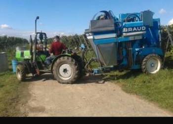 Kombajn do zbioru winogron aronii porzeczki Braud