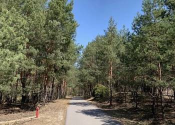 Las działka 1333m Nowe Polesie