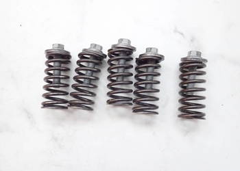 Sprężyny Śrubki Kosza Sprzęgła KTM Sx-f 250 Sxf 04-11r exc