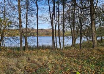 Duża budowlana. Linia brzegowa jeziora.