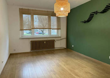 Funkcjonalne 2 pokoje na parterze z piwnicą – Ruda Śląska