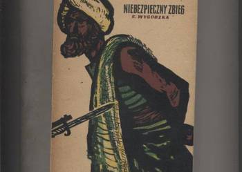 Niebezpieczny zbieg - Wygodzka