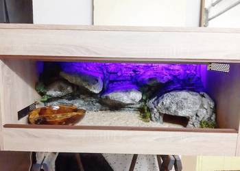 Okazja terrarium dla agamy gekona żółwia węża kameleona legwana boa pająka