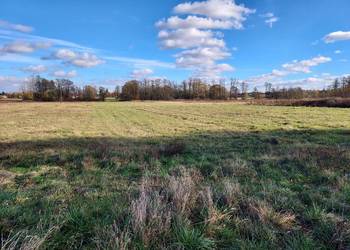 Działka budowlana Hipolitów gm. Chynów