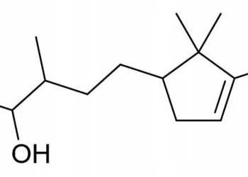 Sandalore Sandalrom Bagdenol Drzewo Sandałowe 90mL