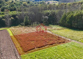 Oferta sprzedaży działki 1000m2 Zagórze