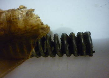 Armata dywizyjna D-44 85 mm sprężyna Armata dywizyjna D-44 85 mm sprężyna